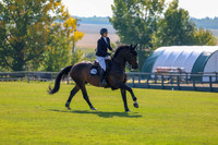 2025 - Shea - Fall Finale - Saturday September 13th - 02924