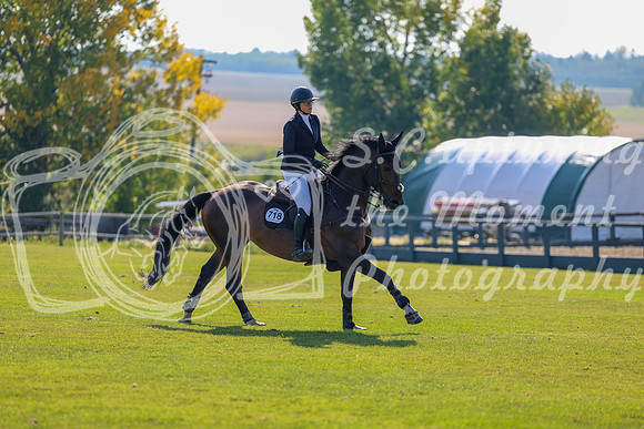 2025 - Shea - Fall Finale - Saturday September 13th - 02925
