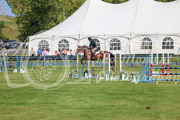 2025 - Shea - Fall Finale - Saturday September 13th - 05145