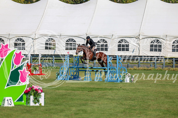 2025 - Shea - Fall Finale - Saturday September 13th - 05150