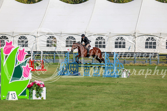 2025 - Shea - Fall Finale - Saturday September 13th - 05152