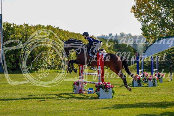2025 - Shea - Fall Finale - Saturday September 13th - 02118