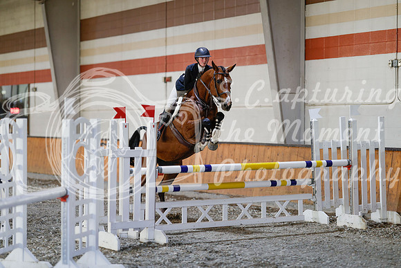 2025 - Haylee - Harvest Horse Show - Sunday, September 13th 12155