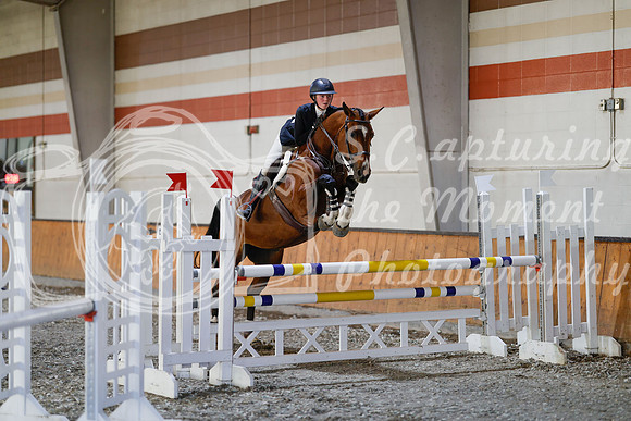 2025 - Haylee - Harvest Horse Show - Sunday, September 13th 12157