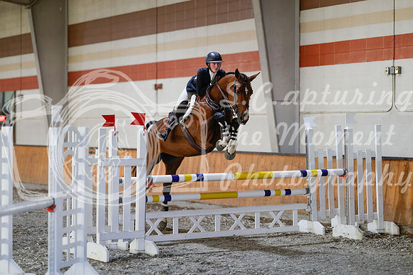2025 - Haylee - Harvest Horse Show - Sunday, September 13th 12159
