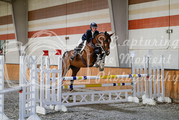 2025 - Haylee - Harvest Horse Show - Sunday, September 13th 12160