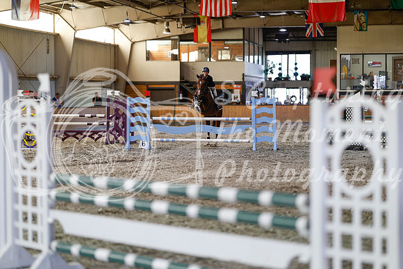 2025 - Haylee - Harvest Horse Show - Sunday, September 13th 12164