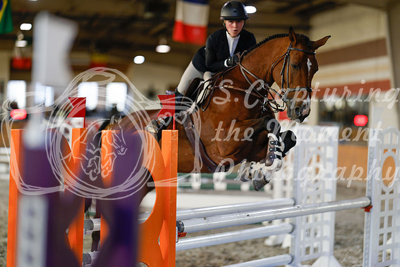 2025 - Haylee - Harvest Horse Show - Sunday, September 13th 12172
