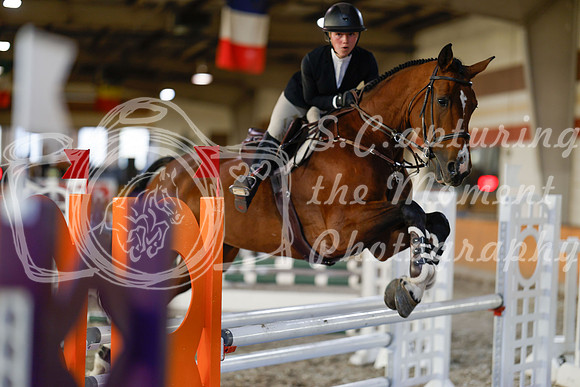 2025 - Haylee - Harvest Horse Show - Sunday, September 13th 12174