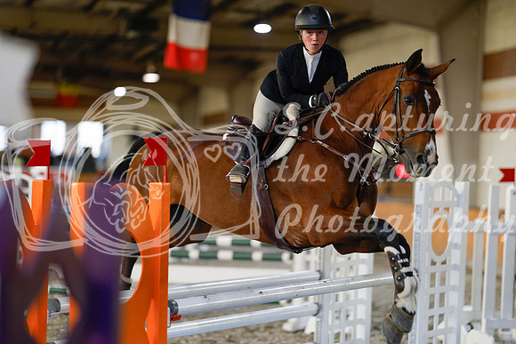 2025 - Haylee - Harvest Horse Show - Sunday, September 13th 12176