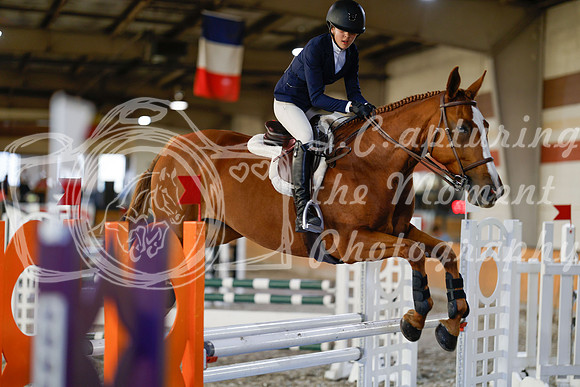 2025 - Haylee - Harvest Horse Show - Sunday, September 13th 12246