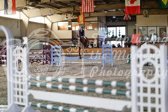2025 - Haylee - Harvest Horse Show - Sunday, September 13th 12245