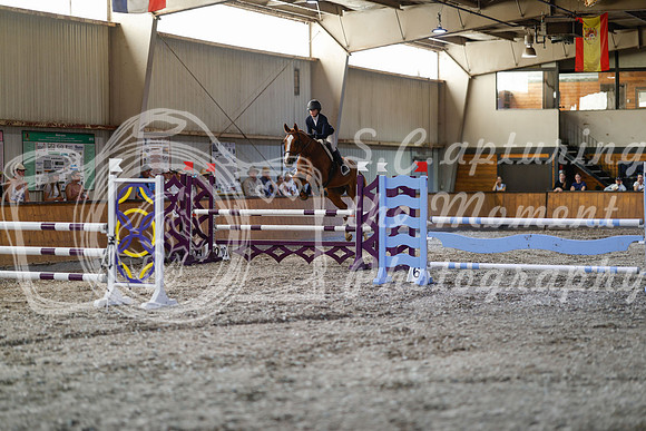 2025 - Haylee - Harvest Horse Show - Sunday, September 13th 12251