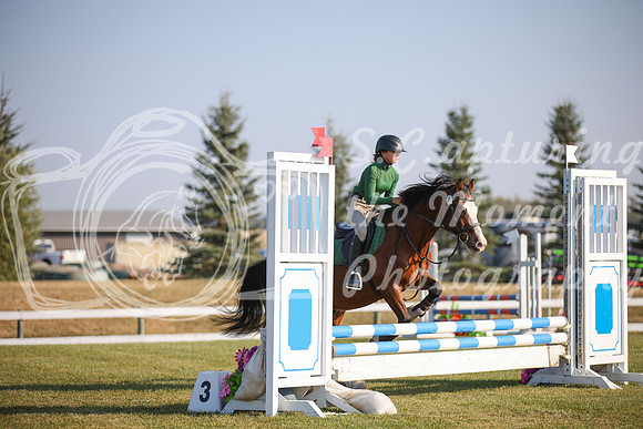 2025 - Karlee - Harvest Horse Show - Sunday, September 13th 00567
