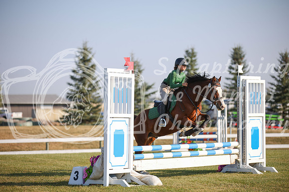 2025 - Karlee - Harvest Horse Show - Sunday, September 13th 00569