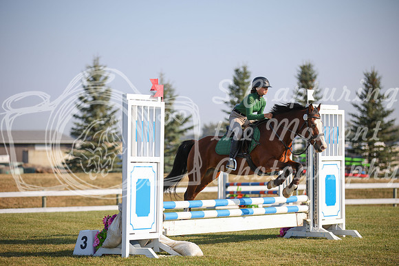2025 - Karlee - Harvest Horse Show - Sunday, September 13th 00571