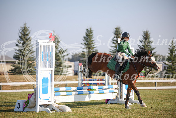 2025 - Karlee - Harvest Horse Show - Sunday, September 13th 00575