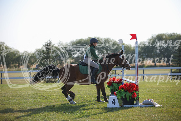 2025 - Karlee - Harvest Horse Show - Sunday, September 13th 00577
