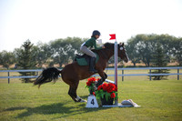 2025 - Karlee - Harvest Horse Show - Sunday, September 13th 00580