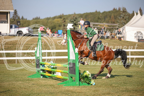 2025 - Karlee - Harvest Horse Show - Sunday, September 13th 00589