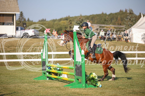 2025 - Karlee - Harvest Horse Show - Sunday, September 13th 00590