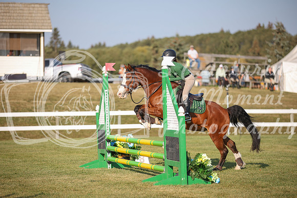 2025 - Karlee - Harvest Horse Show - Sunday, September 13th 00591