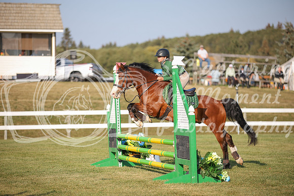 2025 - Karlee - Harvest Horse Show - Sunday, September 13th 00592