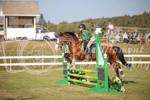 2025 - Karlee - Harvest Horse Show - Sunday, September 13th 00593