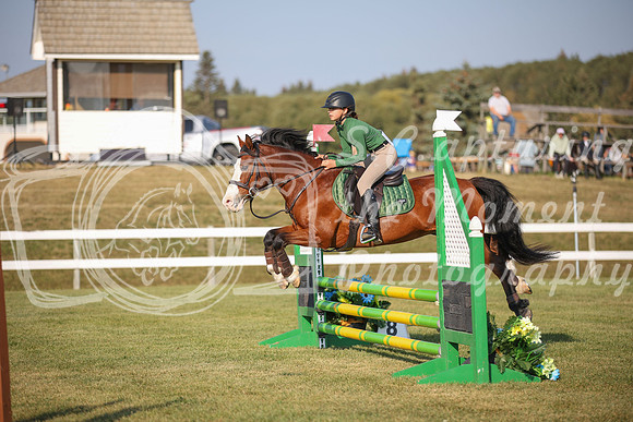 2025 - Karlee - Harvest Horse Show - Sunday, September 13th 00594