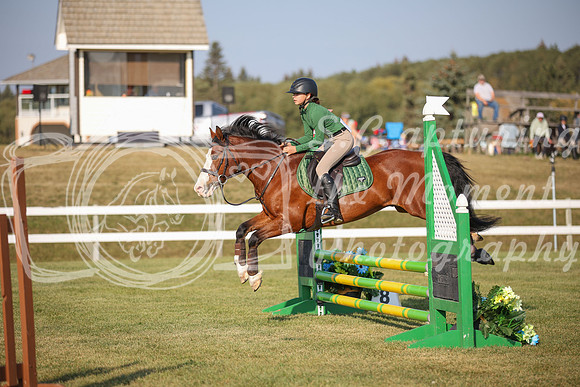 2025 - Karlee - Harvest Horse Show - Sunday, September 13th 00595