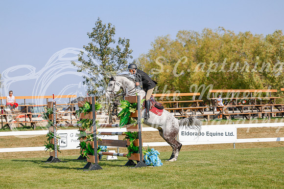 2025 - Haylee - Harvest Horse Show - Sunday, September 13th 06554