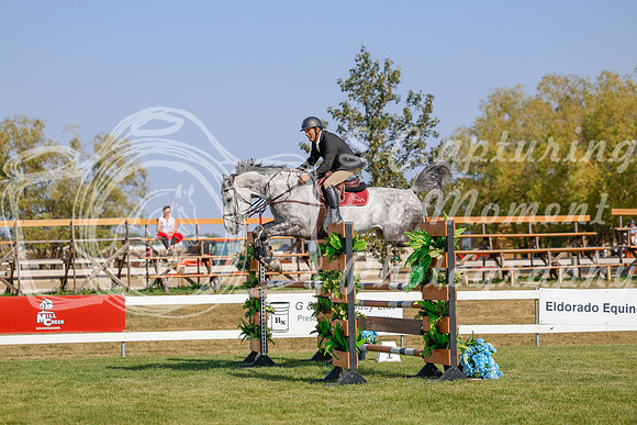 2025 - Haylee - Harvest Horse Show - Sunday, September 13th 06567