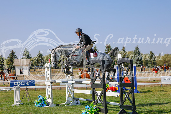 2025 - Haylee - Harvest Horse Show - Sunday, September 13th 06571