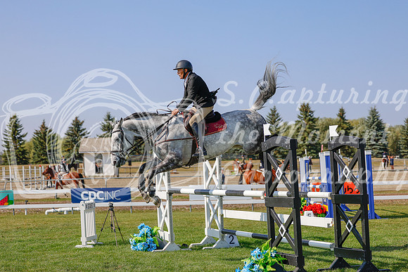 2025 - Haylee - Harvest Horse Show - Sunday, September 13th 06577