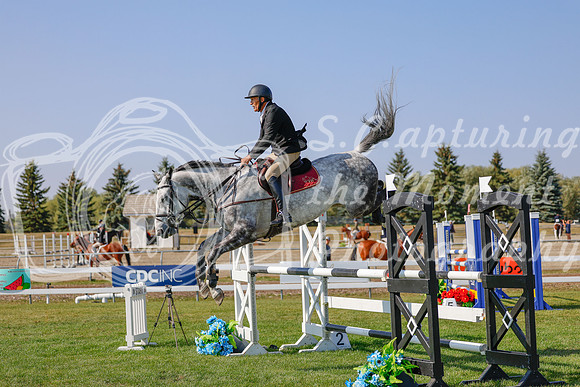 2025 - Haylee - Harvest Horse Show - Sunday, September 13th 06578