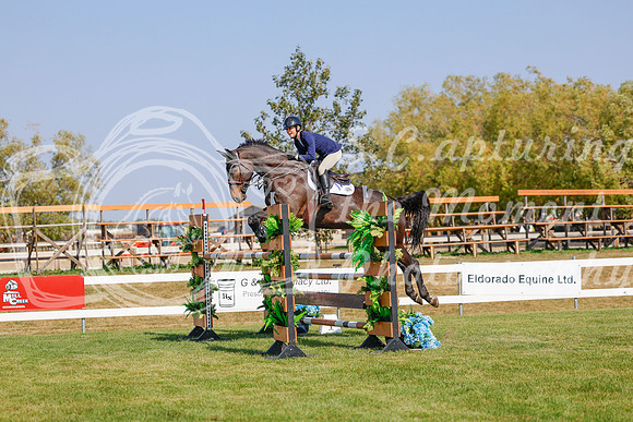 2025 - Haylee - Harvest Horse Show - Sunday, September 13th 06960