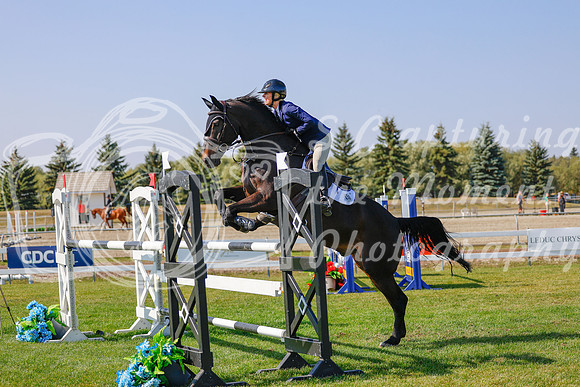 2025 - Haylee - Harvest Horse Show - Sunday, September 13th 06965