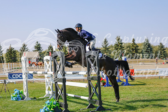2025 - Haylee - Harvest Horse Show - Sunday, September 13th 06967