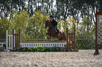 2025 - Petra - Harvest Horse Show - Sunday, September 13th 10533