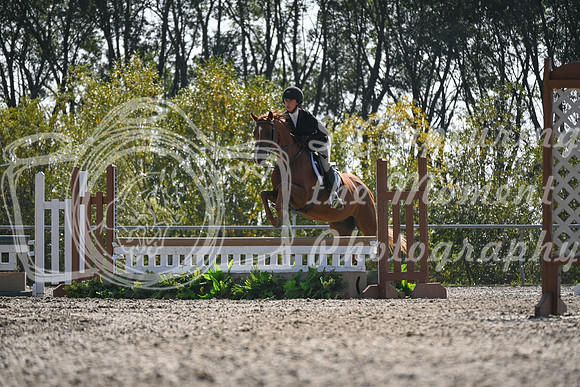 2025 - Petra - Harvest Horse Show - Sunday, September 13th 10533