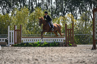 2025 - Petra - Harvest Horse Show - Sunday, September 13th 10534