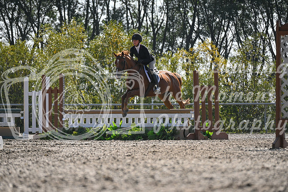 2025 - Petra - Harvest Horse Show - Sunday, September 13th 10534