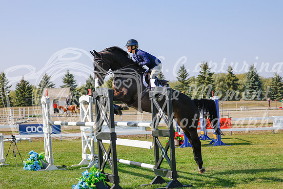 2025 - Haylee - Harvest Horse Show - Sunday, September 13th 06968