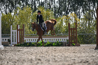 2025 - Petra - Harvest Horse Show - Sunday, September 13th 10536
