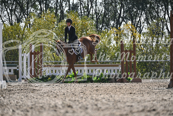2025 - Petra - Harvest Horse Show - Sunday, September 13th 10536