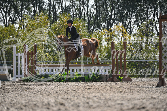 2025 - Petra - Harvest Horse Show - Sunday, September 13th 10535