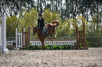 2025 - Petra - Harvest Horse Show - Sunday, September 13th 10537