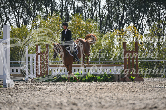 2025 - Petra - Harvest Horse Show - Sunday, September 13th 10537
