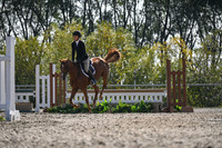 2025 - Petra - Harvest Horse Show - Sunday, September 13th 10538