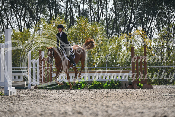 2025 - Petra - Harvest Horse Show - Sunday, September 13th 10538